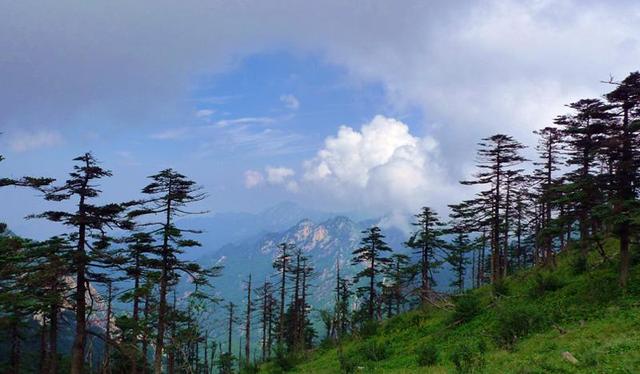 2017陕西消夏之旅总评榜揭晓 六大避暑胜地尽享清凉